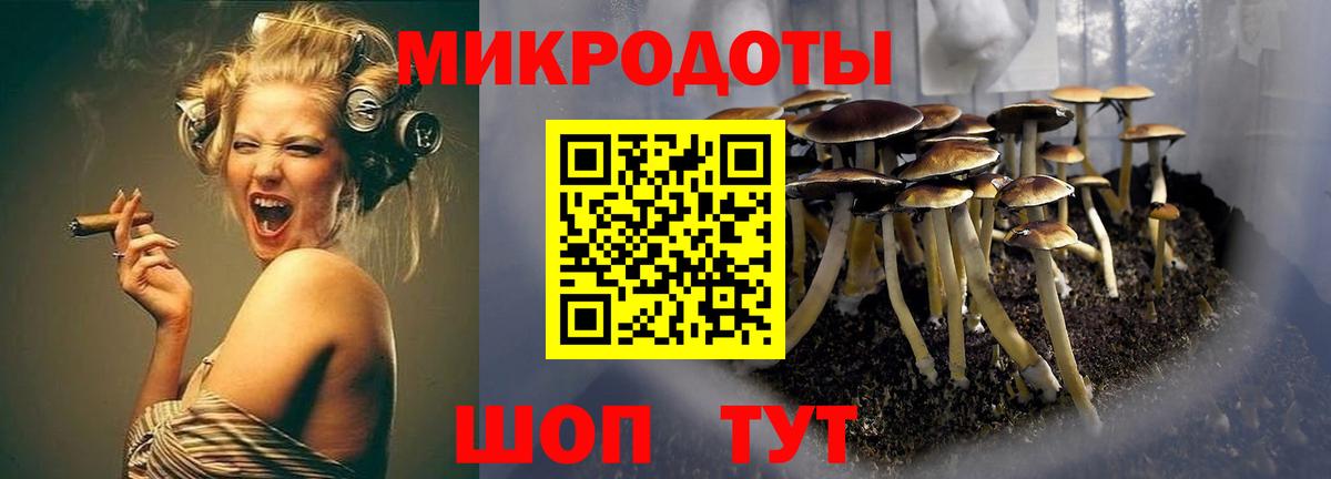 Галлюциногенные грибы мухоморы  Вход с VPN  Кириши 